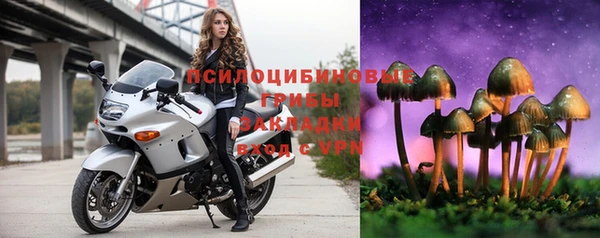 apvp Арсеньев