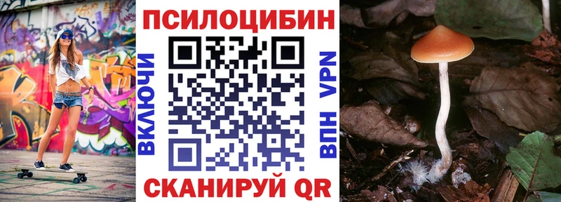 Псилоцибиновые грибы Magic Shrooms  Краснослободск 